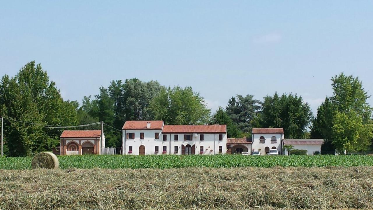 La Casa Delle Rondini Bed and Breakfast Roncoferraro Eksteriør billede